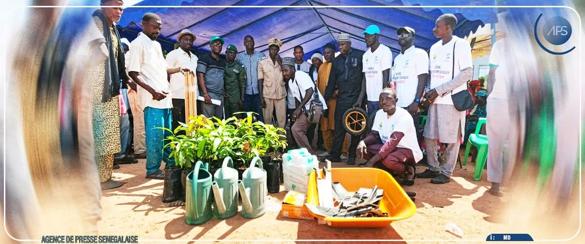 Plants de manguiers, arrosoirs, brouette et outils remis à la pépinière communale d'Ida Mouride lors de la journée de reboisement